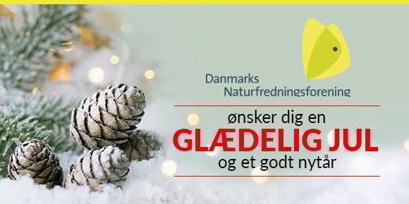 julehilsendn.130527.131840