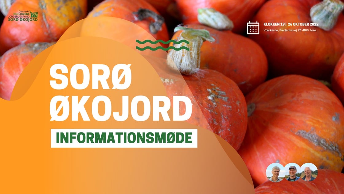 sorø økojord infomøde